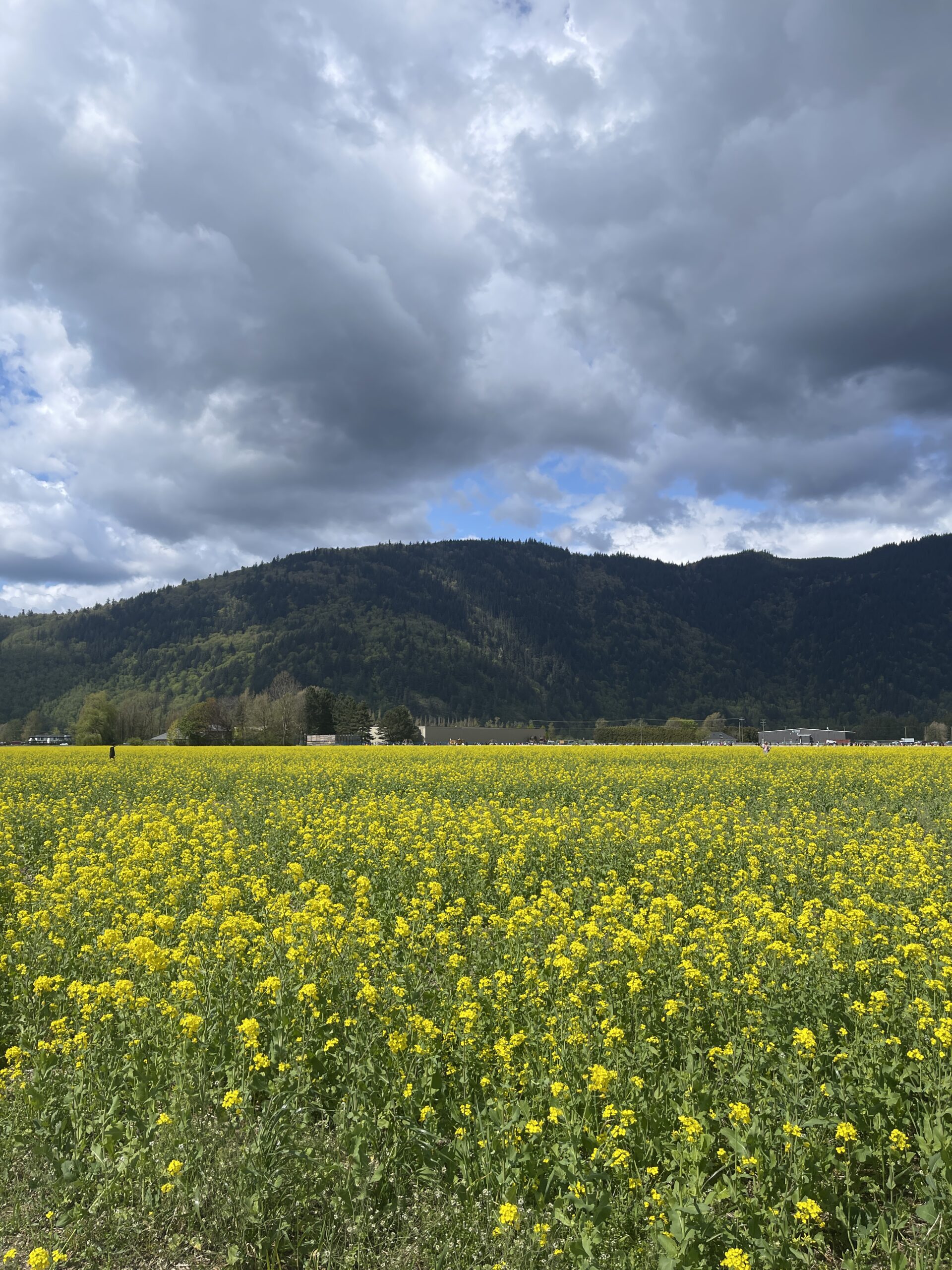 Few of us remain our best selves in a room starved of air