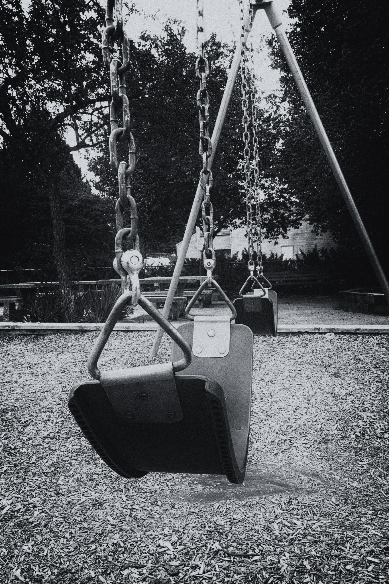 Sir Richard McBride Annex (SD39): a neurodiversity-informed policy critique