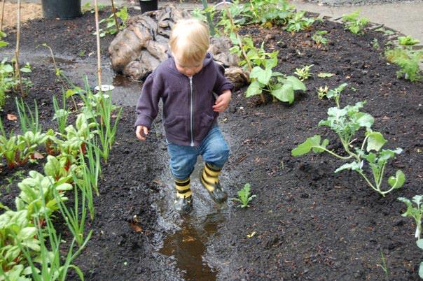 The high stakes of understanding PDA