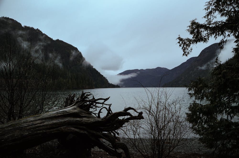 Columneetza Junior Secondary (SD27 Cariboo‑Chilcotin): a neurodiversity‑informed conduct critique