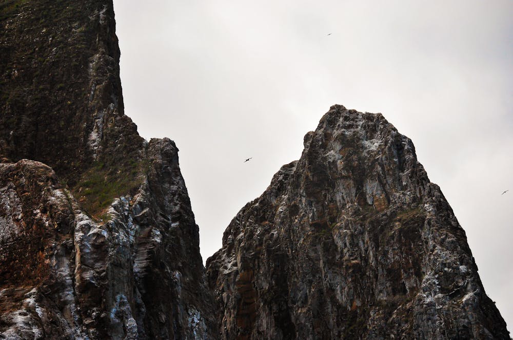 I am just me: What it costs to show up