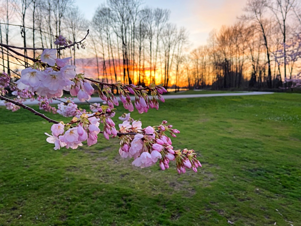 Joy is rationed for disabled kids in school