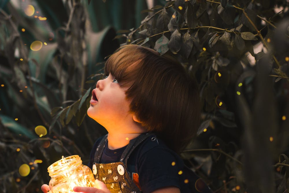 The legal playbook every parent needs