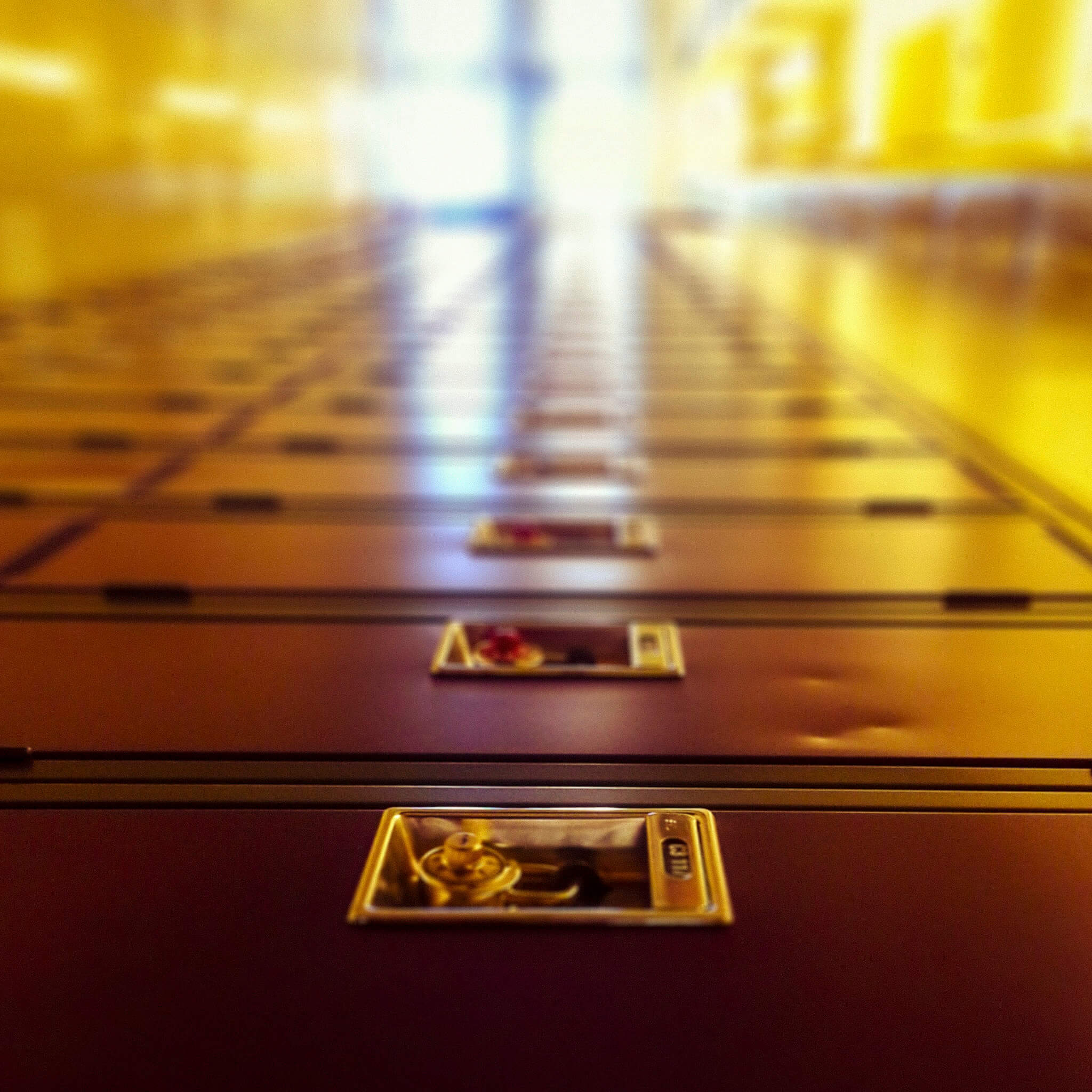 The power of many: solidarity in Alberta schools