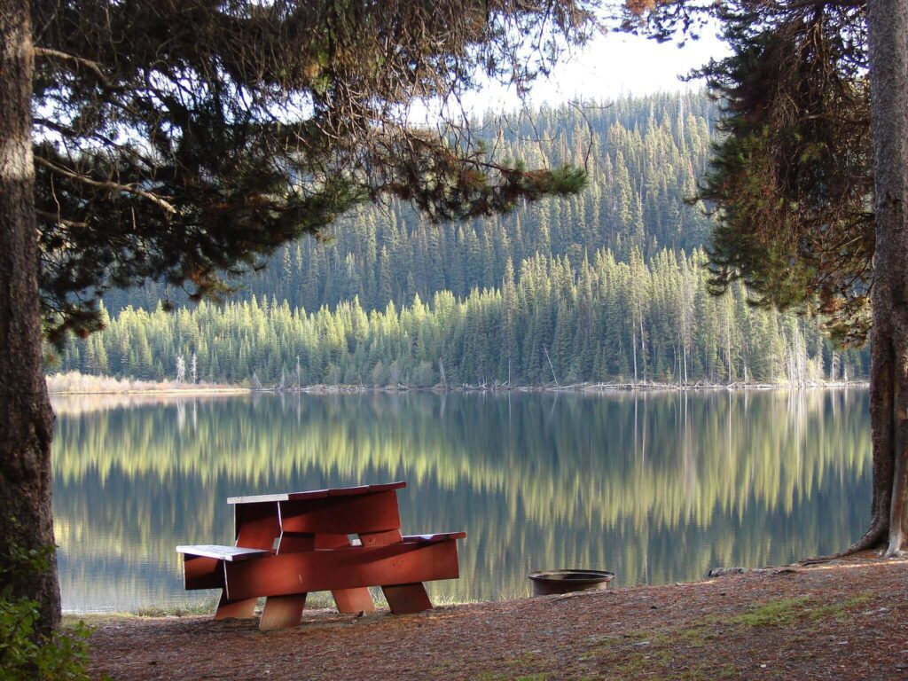 SD83 publicly acknowledges Ombudsperson investigation and releases updated exclusion procedure