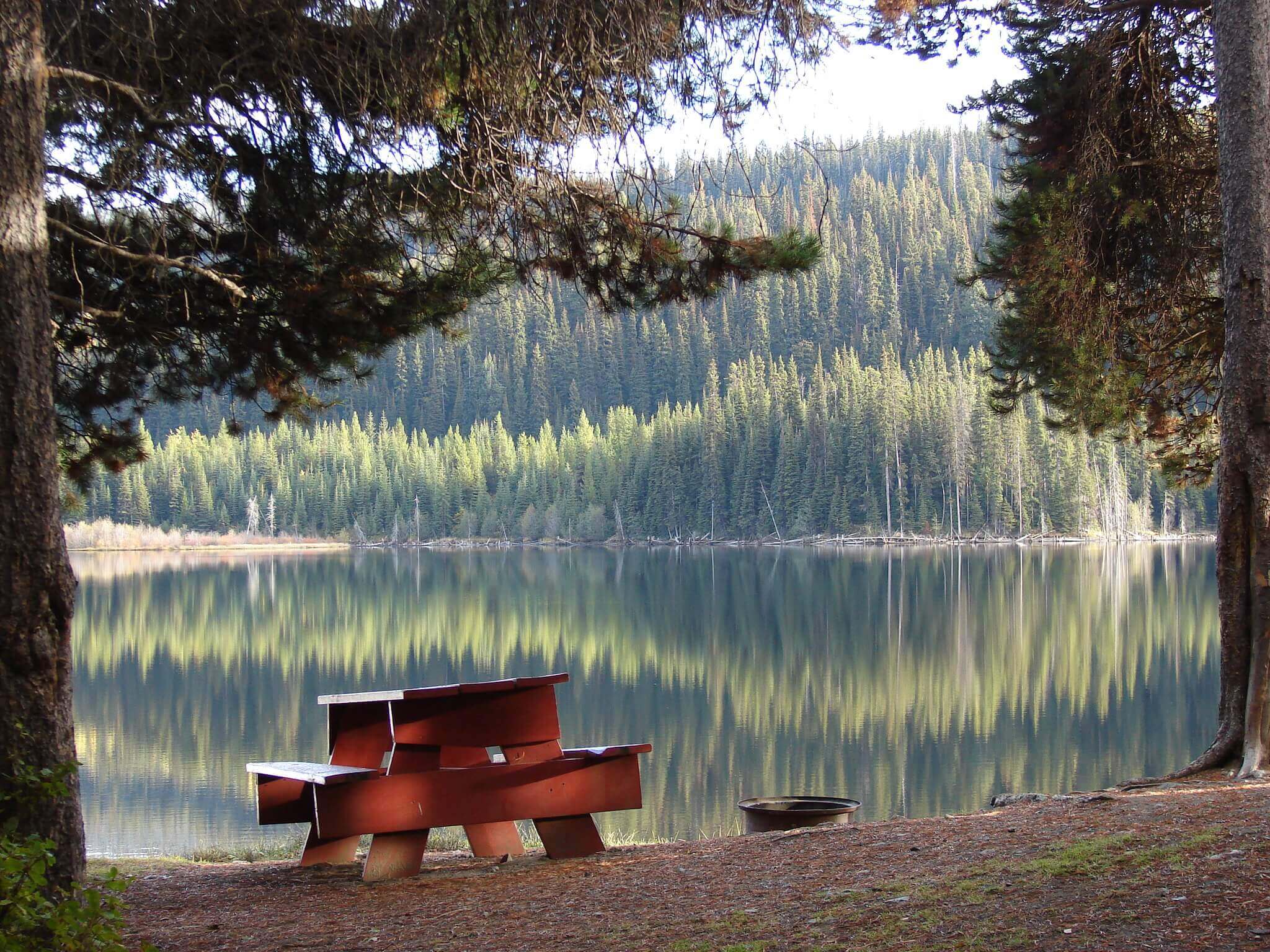 SD83 publicly acknowledges Ombudsperson investigation and releases updated exclusion procedure