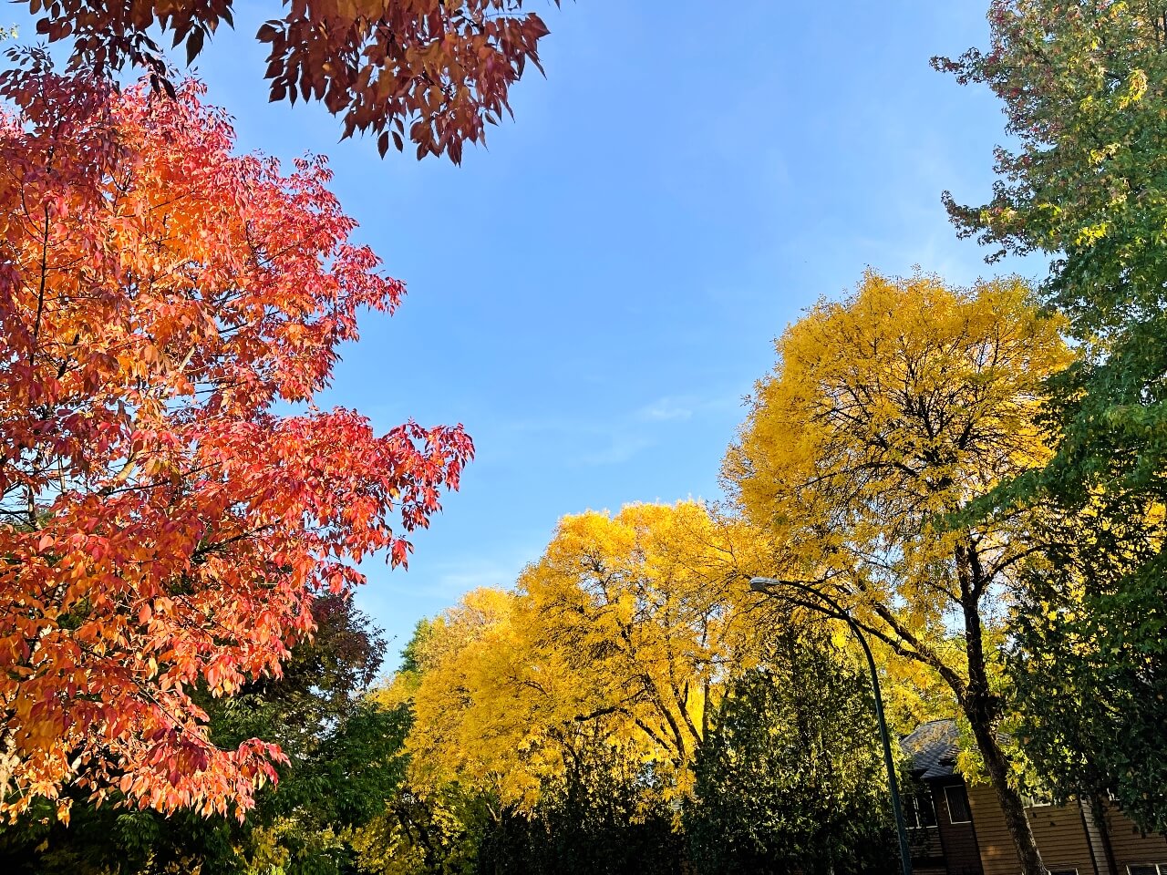 The architecture of harm, the anatomy of healing