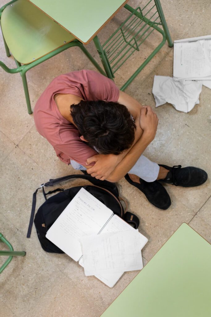 Bullying of disabled children: a human rights issue requiring accommodation