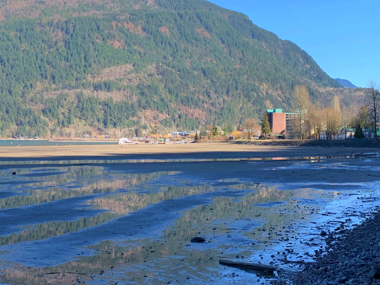 Exhaustion as governance in BC education