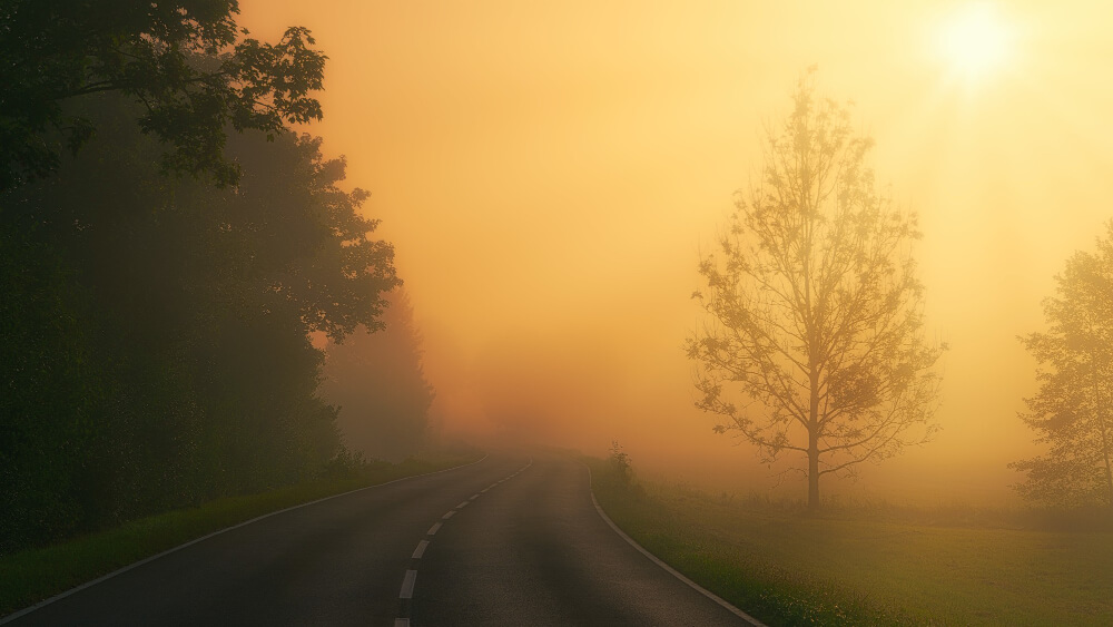 foggy road with sun in winter