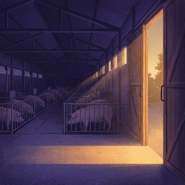 The barn, not the mother
