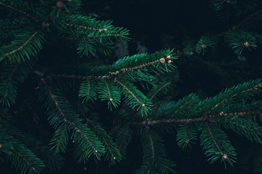 If a tree falls