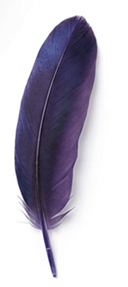 feather