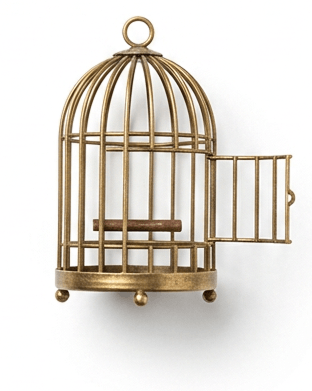 empty cage